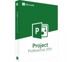MS Project Pro 2019